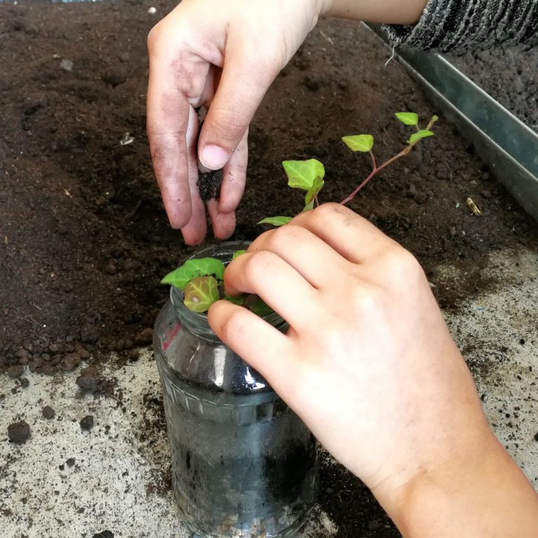 Gartenbau